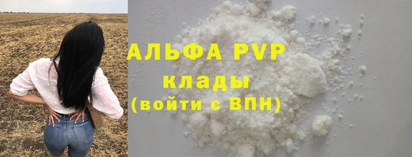 стаф Алексин