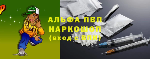 стаф Алексин