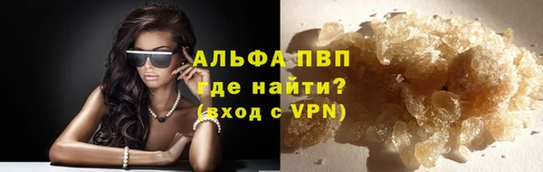 PSILOCYBIN Лагань