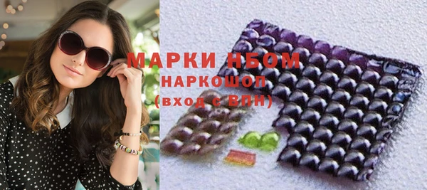 стаф Алексин
