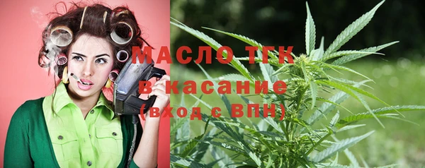 стаф Алексин