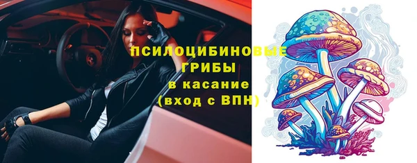 стаф Алексин